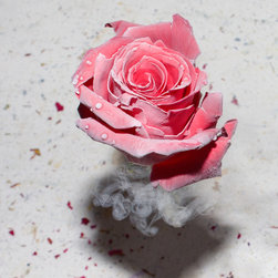 Boiling Crash Flower series - Photographs