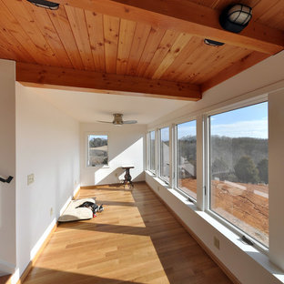 Immagine di una piccola veranda rustica con pavimento in legno massello medio e soffitto classico