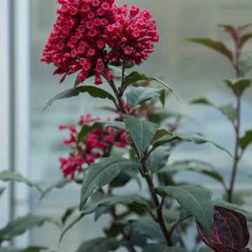 My Houzz: A Canadian Garden Is Well-Prepared for the Cold Weather Ahead