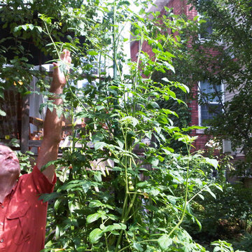 The Year of the Edible Gardens