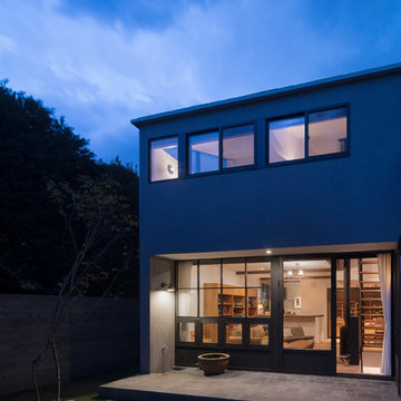 Primiteve house