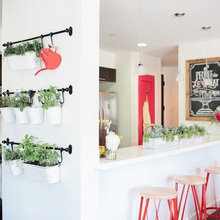 Indoor Herb Garden