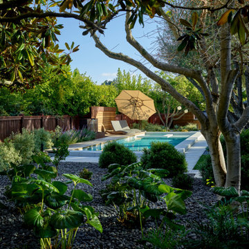 Storybook Garden