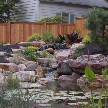 Ponds & Waterfalls