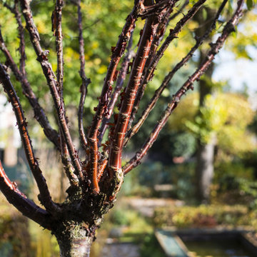 Jardin des 4 Saisons