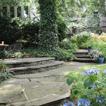 Our Townhouse Garden, 2018