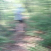 Dina D'Aquila Stumm's photo