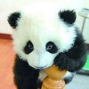 Kristin Bogle's photo