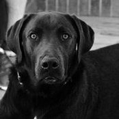 Nicholas Thomson's photo