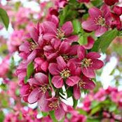 Jacquie Morse's photo