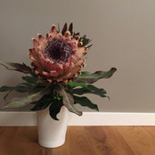 Clare Kalinka's photo