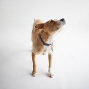 Rena Thiagarajan's photo