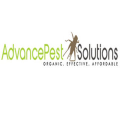 Advance Pest Solutions