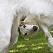Lisa Herrman's photo