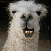 Alexandra Fleit's photo