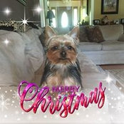 Barbara Barber Warren's photo