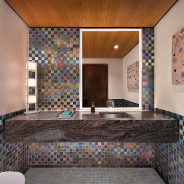Chciago Modern Penthouse