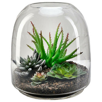 Serene Spaces Living Clear Dome-Shaped Glass Terrarium Vase, Large
