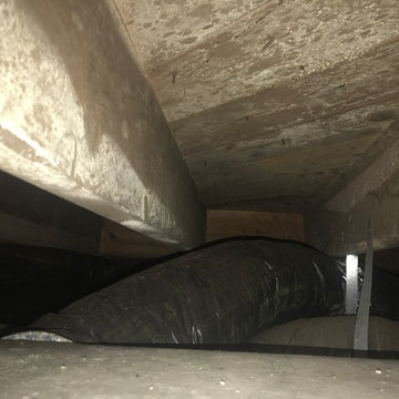 Crawlspace Encapsulation & Mold Removal