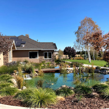 Water Features
