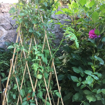 Good Garden's Own Backyard