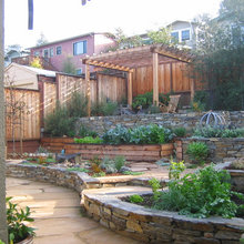 House Side Yard