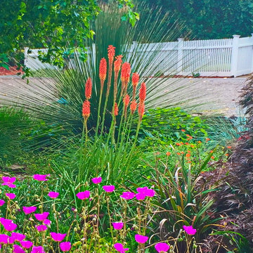 Drought 2016 gardens