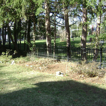 DIY Landscape - Woodland or Shade Gardening
