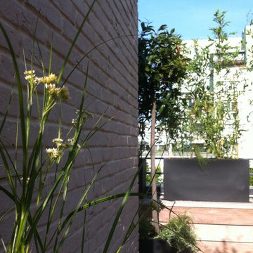 Aménagement paysager d'une terrasse à Paris...