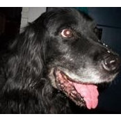 Kim Klepper's photo