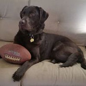 Dottie Jackson's photo
