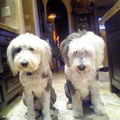 Ellen Parker's photo