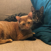 Hilary Odom's photo