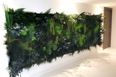 Preserved Biophilic Plant Wall