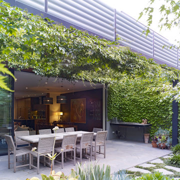 Wine covered pergola