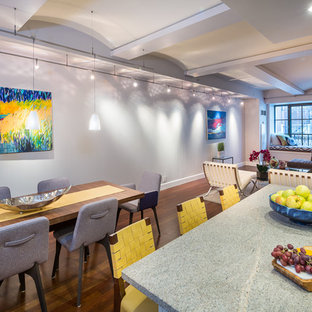 Upper West Side NYC Modern Apartment