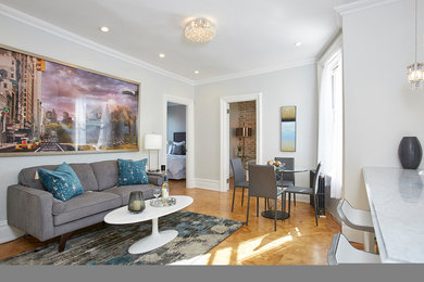 Living room - contemporary living room idea in New York