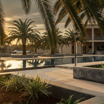Mid-East Modern
