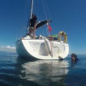 Amy Trevan's photo