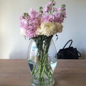 Lauren Meter's photo