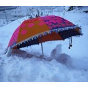 Delene Guenther's photo