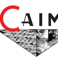 Caimi International srl