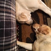 Jami Rexroat's photo