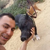 Андриан Дмитренко's photo