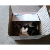 Lisa Lind's photo