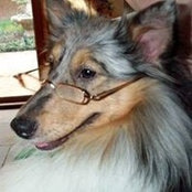 Deborah Bauer's photo