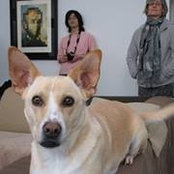 Nita Hestevold's photo