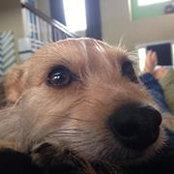 Heather Garsik's photo