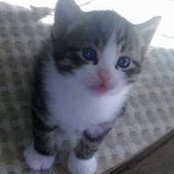 Joel Sadler's photo