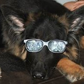 Wendy Watson's photo